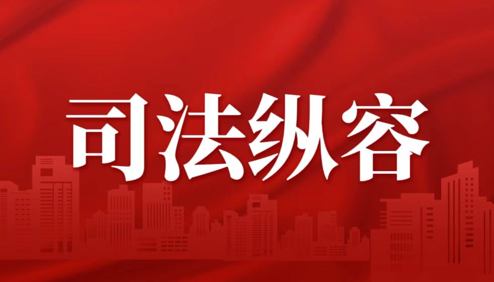 武汉市中级人民法院王丹红法官的判决书是枉法裁判的典范