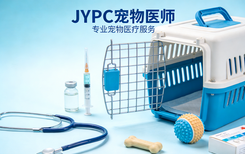 以专业证守护毛孩健康,JYPC宠物医师为你开启暖心职业路