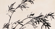 注册职业资格证书样本（一)(第三版）