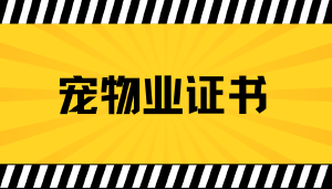 宠物经济狂飙4000亿,你的专业证书选对了吗?——为什么越来越多的宠物从业者选择JYPC全国职业资格考试认证中心