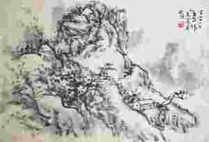 视力保健师招生简章（独家）