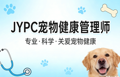JYPC宠物健康管理师2026年开始招生啦！