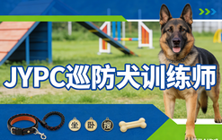 JYPC巡防犬训练师2026年开始招生啦！